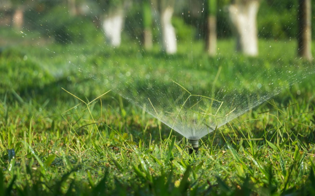 sprinkler on a grassy field